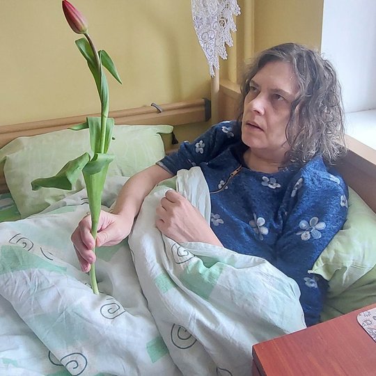 Iliustracija