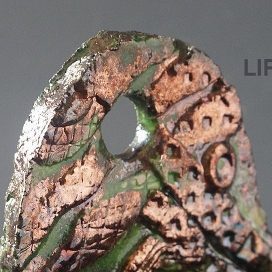 renginio nuotrauka