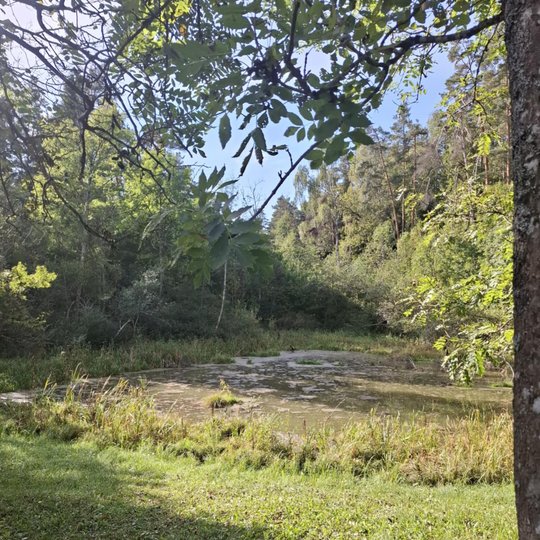 Iliustracija
