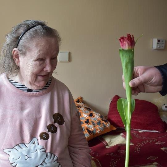 Iliustracija