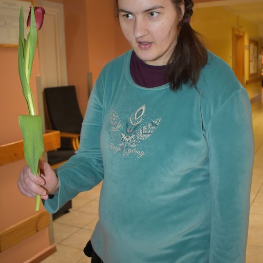 Iliustracija