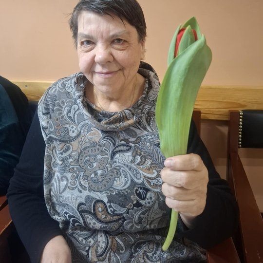 Iliustracija