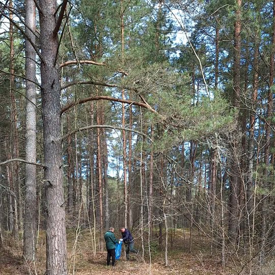 Iliustracija